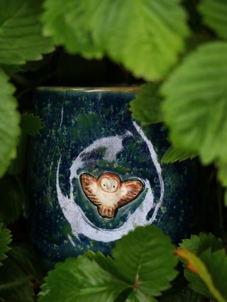 🦉🌲 Zrodená z nočného lesa a šepotu hviezd… Táto šálka ukrýva soviu dušu — tichého sprievodcu snov a múdrosti. Lesklá...